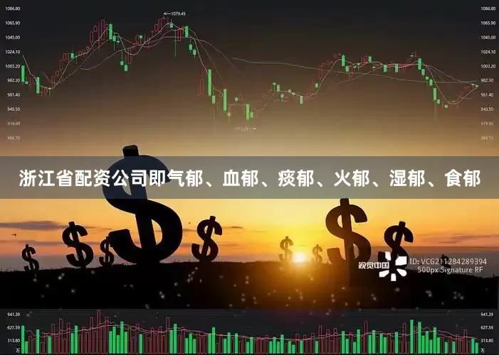 浙江省配资公司即气郁、血郁、痰郁、火郁、湿郁、食郁